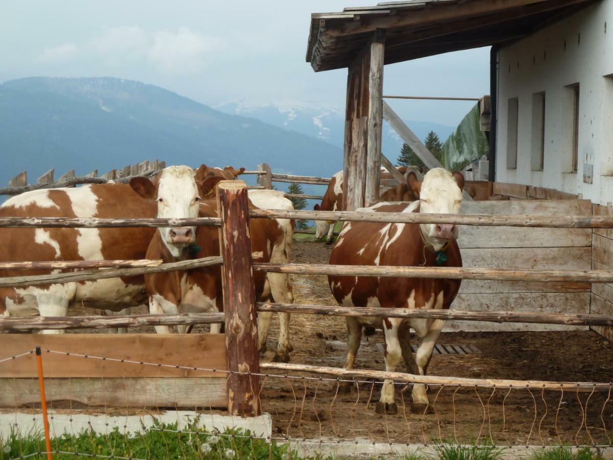 Marerhof Lägenhet Toblach Exteriör bild
