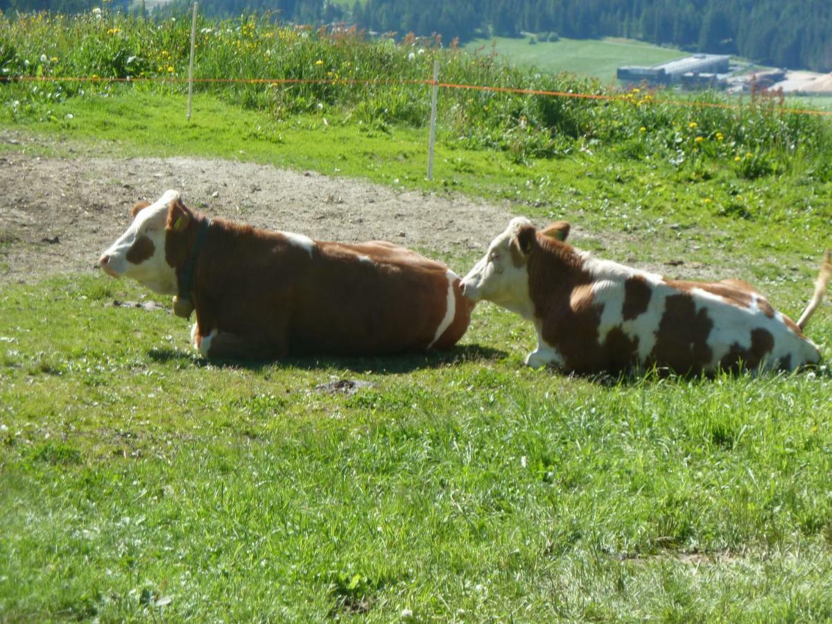 Marerhof Lägenhet Toblach Exteriör bild